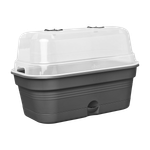 green basics anzucht schale allin1 m living schwarz